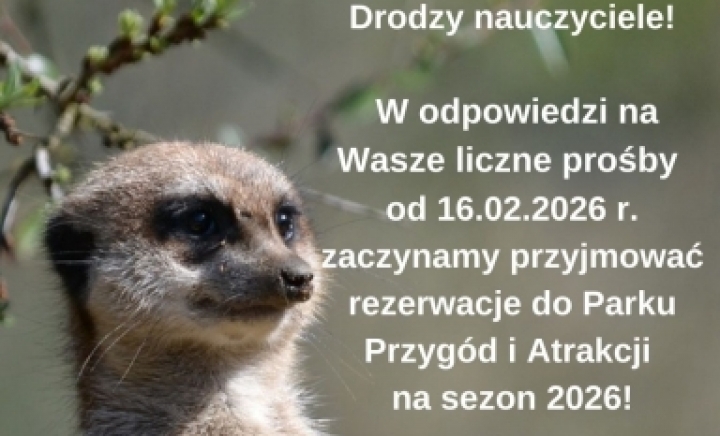 Oferta grupy zorganizowane 2026